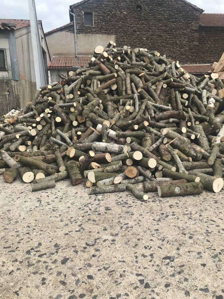 Bois de chauffage 500 Saint-Jean-Lachalm (43)