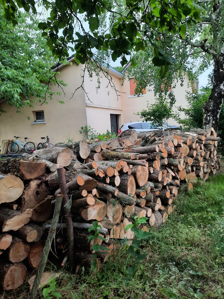 bois de chauffage 220 Mign�-Auxances (86)