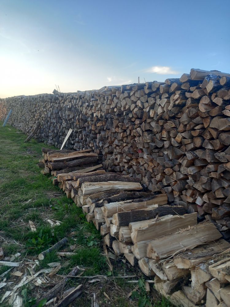 BOIS CHAUFFAGE 60 Saint-Germain (70)