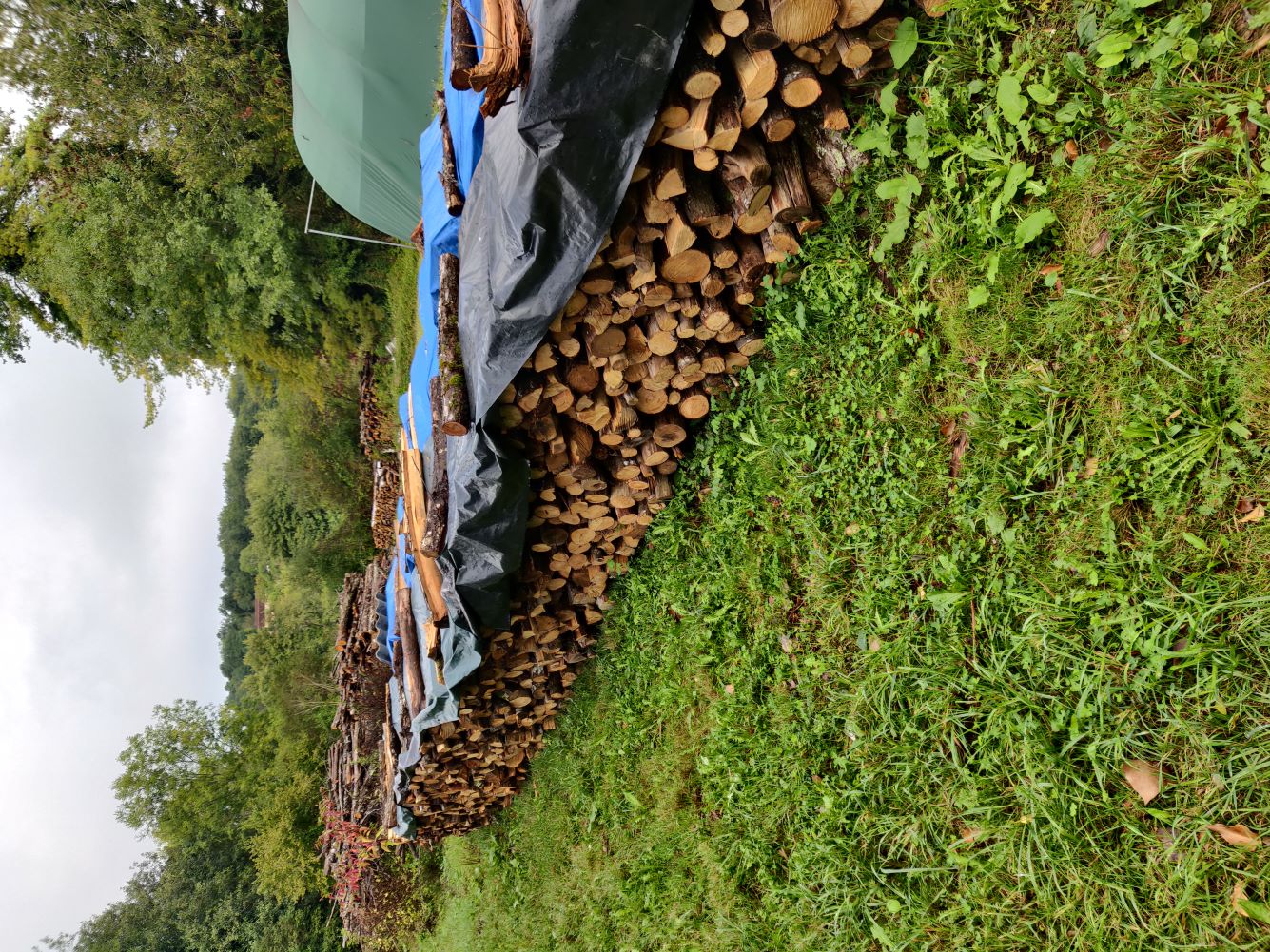 Bois de chauffage 45 Issac (24)