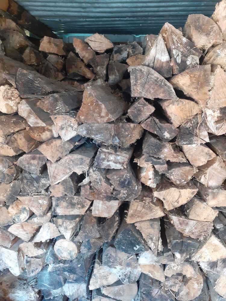 Bois de chauffage 315 Marcellus (47)