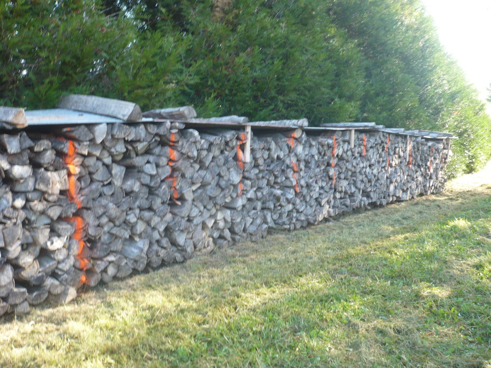 Bois de chauffage 65 Foulcrey (57)