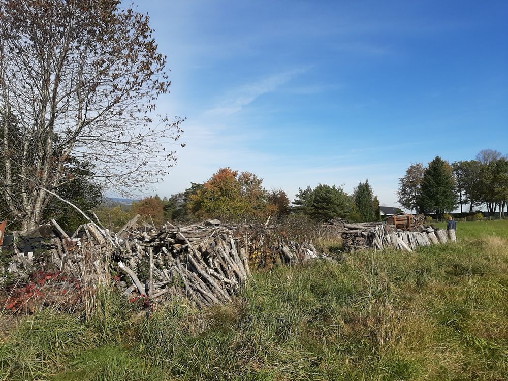 Bois de chauffage 900 Xertigny (88)