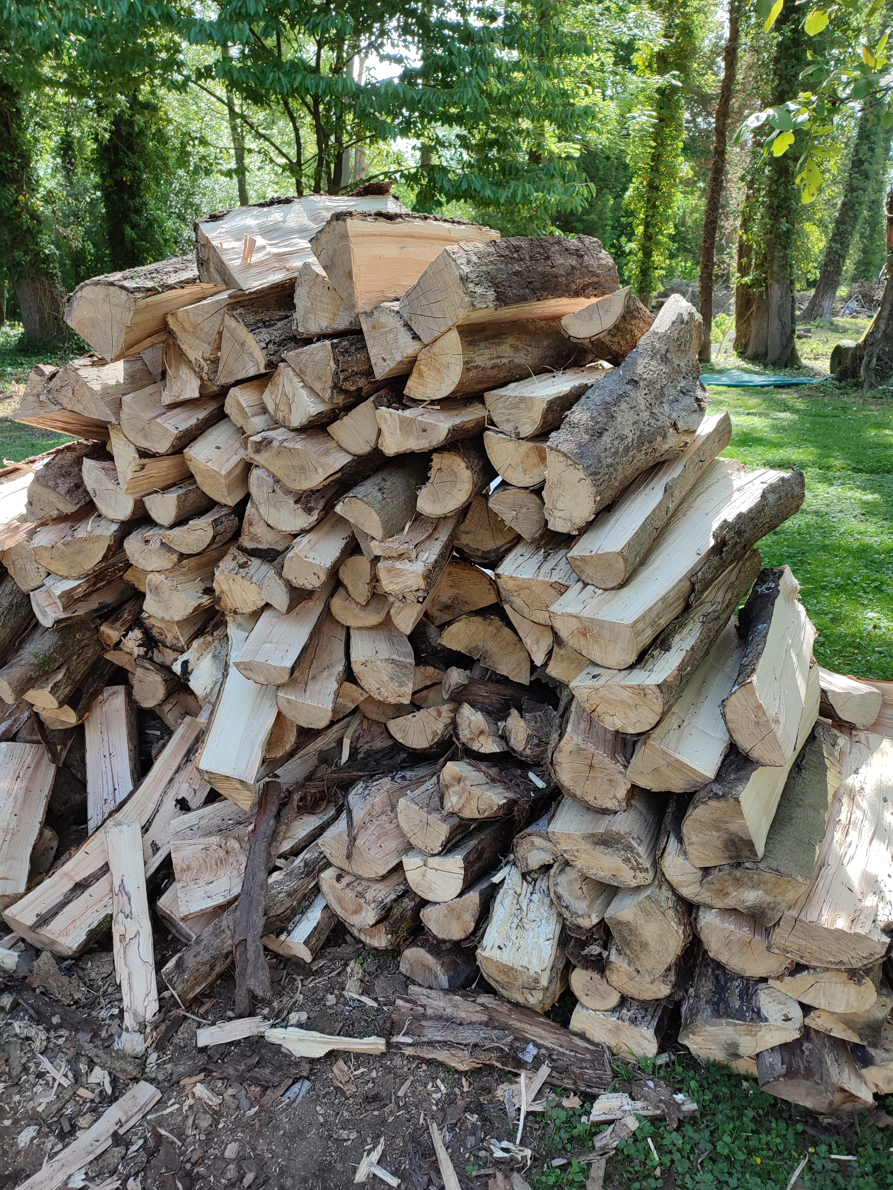 Bois de chauffage 1 Pierrepont-sur-Avre (80)