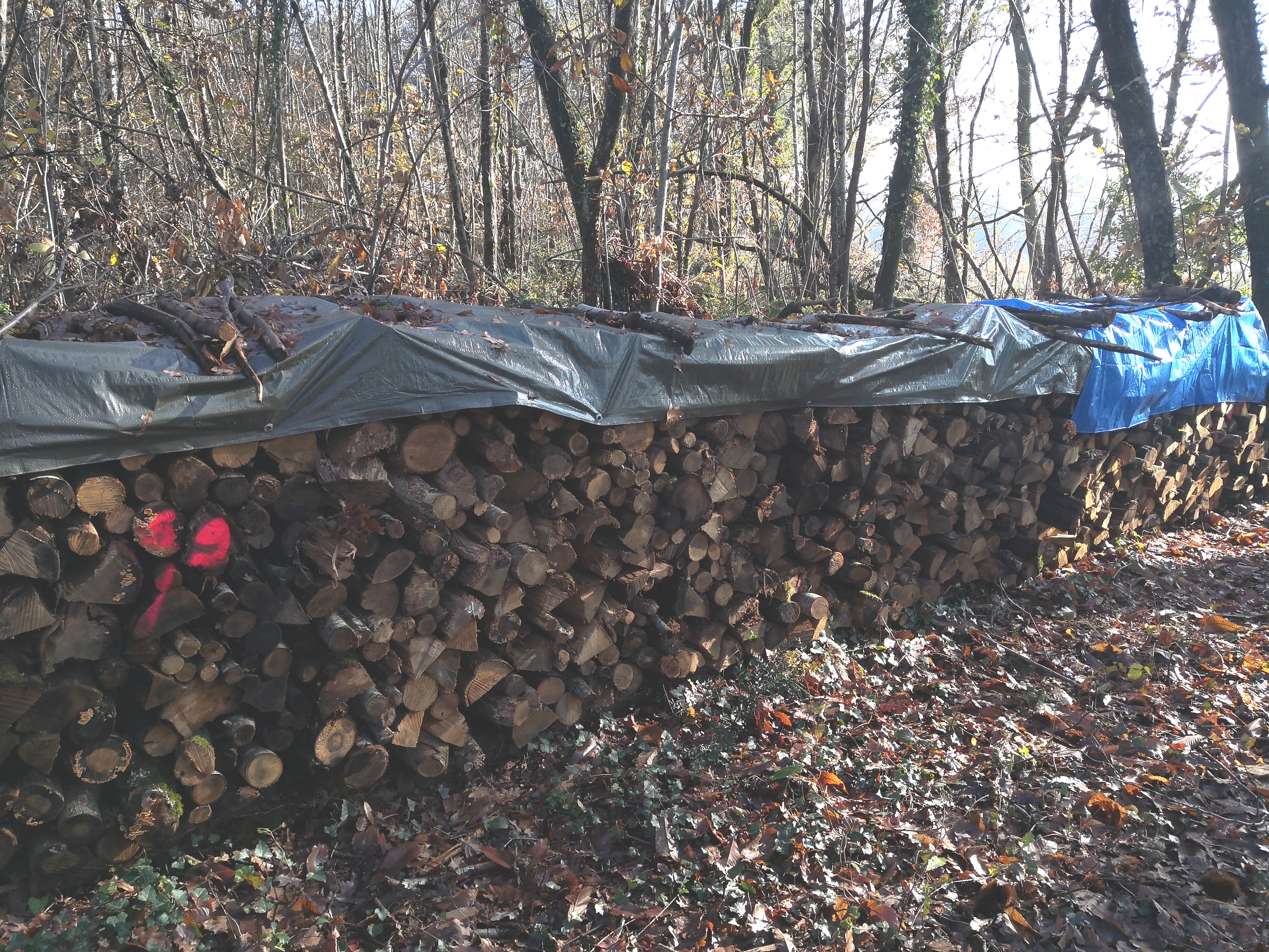 Bois de chauffage 0 L�oville (17)