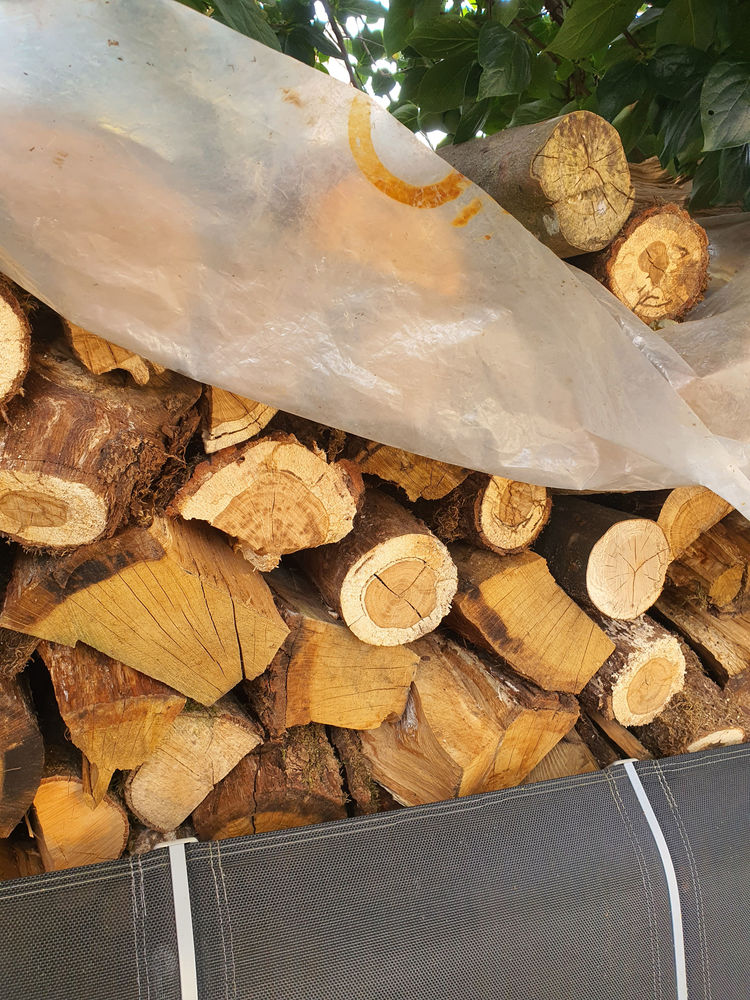 Bois de chauffage 75 Marspich (57)