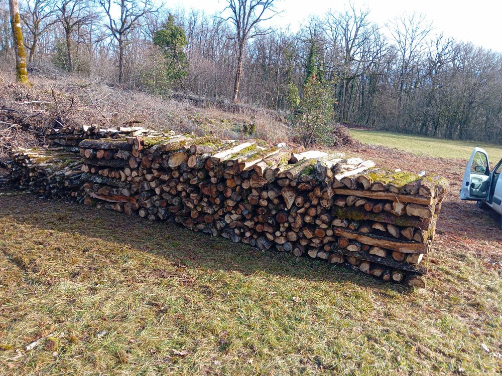 Bois chauffage 60 Rosay (39)
