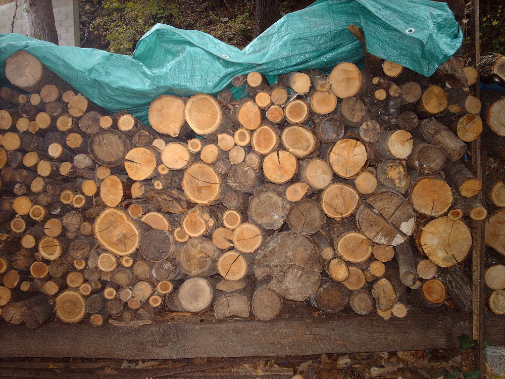 bois de chauffage 65 Al�s (30)