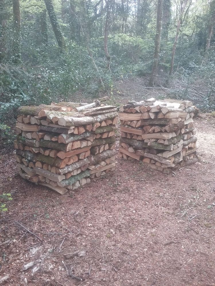 BOIS DE CHAUFFAGE 0 Combrit (29)