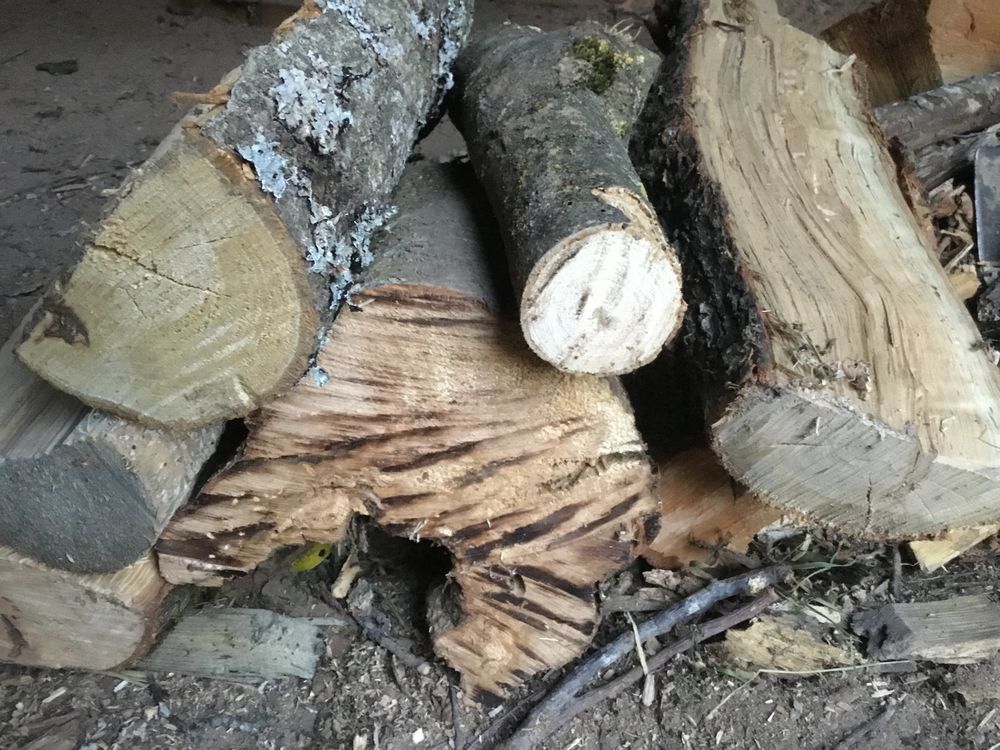 Bois de chauffage 58 Bois-Sainte-Marie (71)