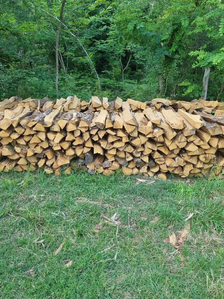 Bois de chauffage 220 Sainte-Maure-de-Peyriac (47)