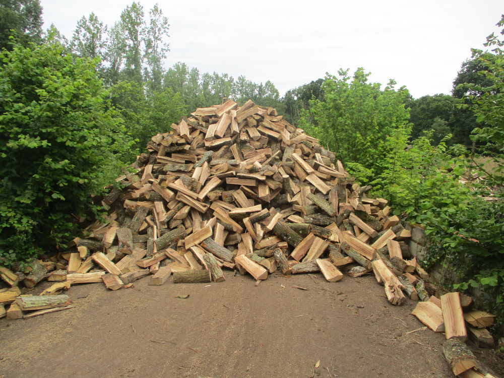 Bois de chauffage . 300 Miniac-Morvan (35)