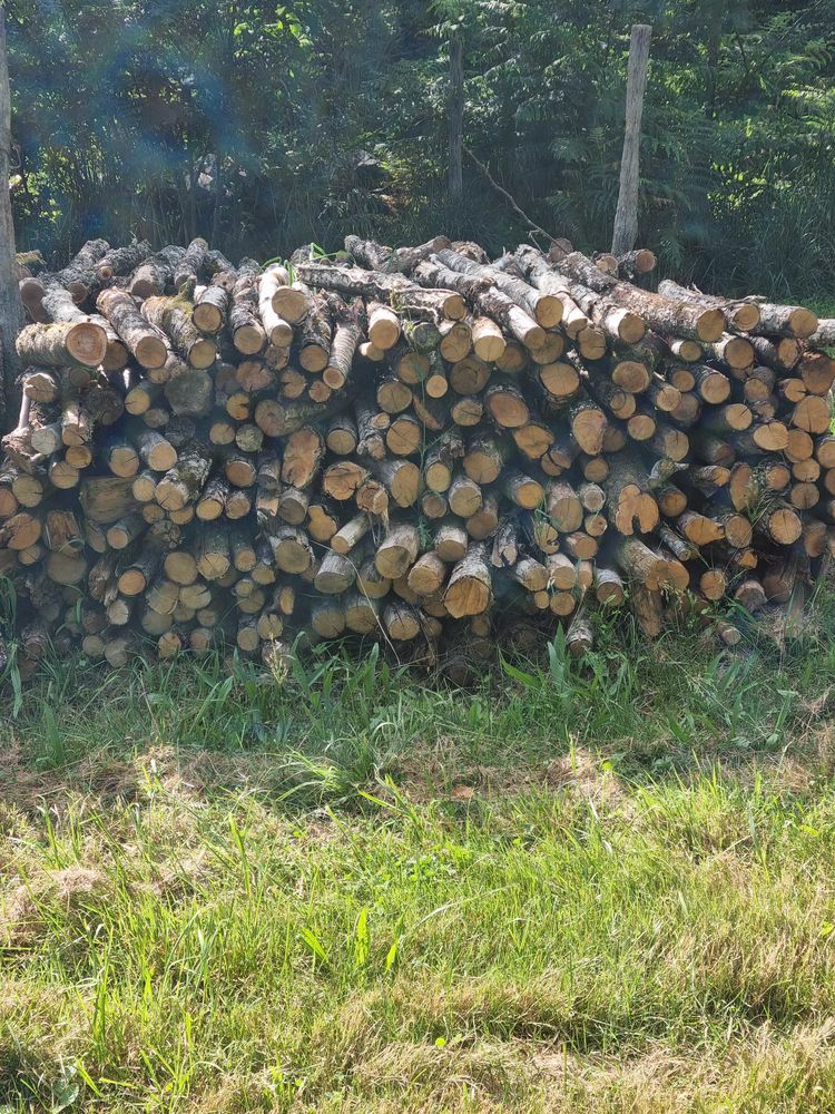 Bois de chauffage 180 Sainte-Maure-de-Peyriac (47)