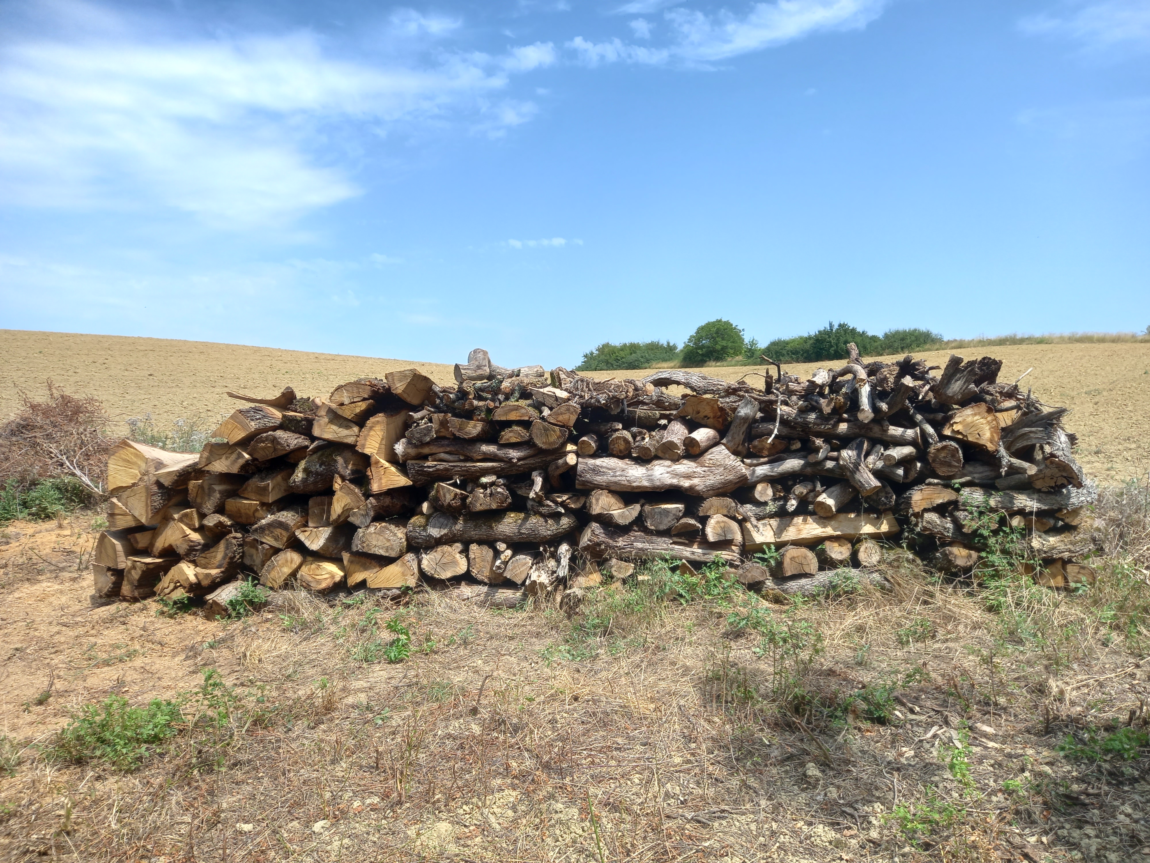 Bois de chauffage 82 Cast�ra-Verduzan (32)