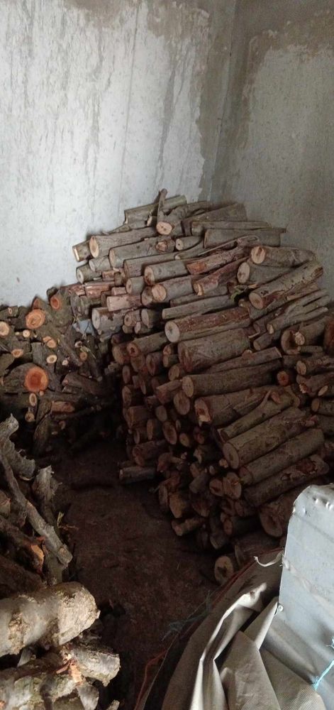 Bois de chauffage 50 Perpignan (66)