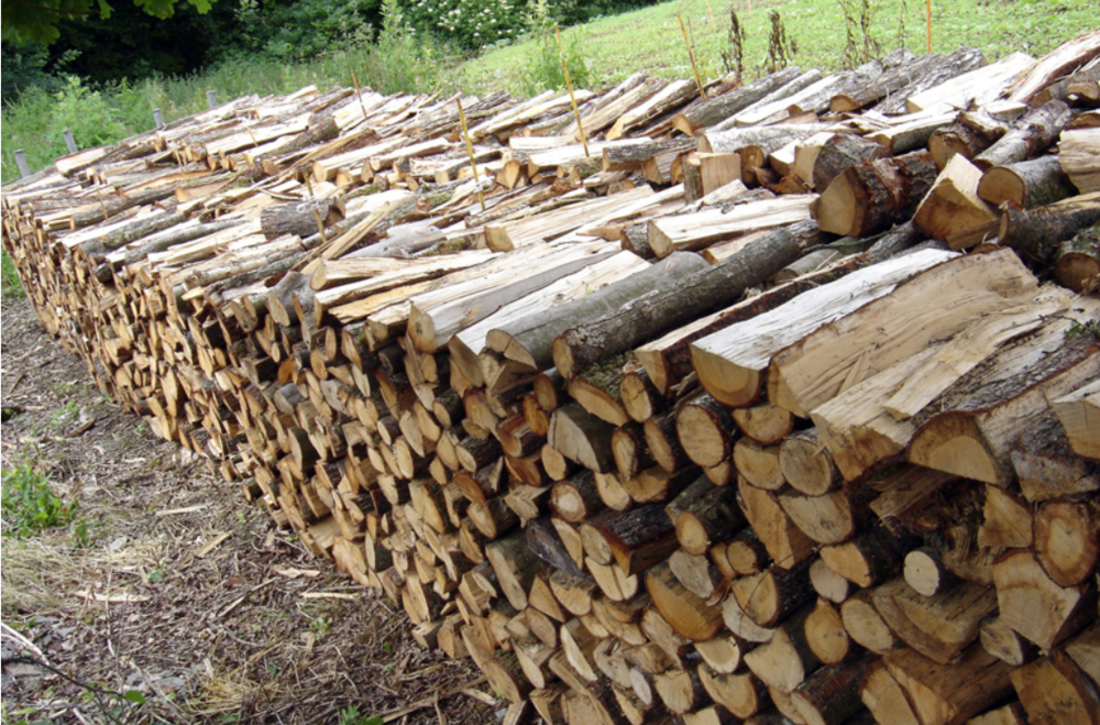 Bois de chauffage 46 Touillon (21)