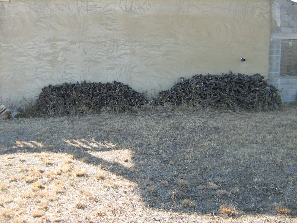 bois de chauffage 100 Visan (84)