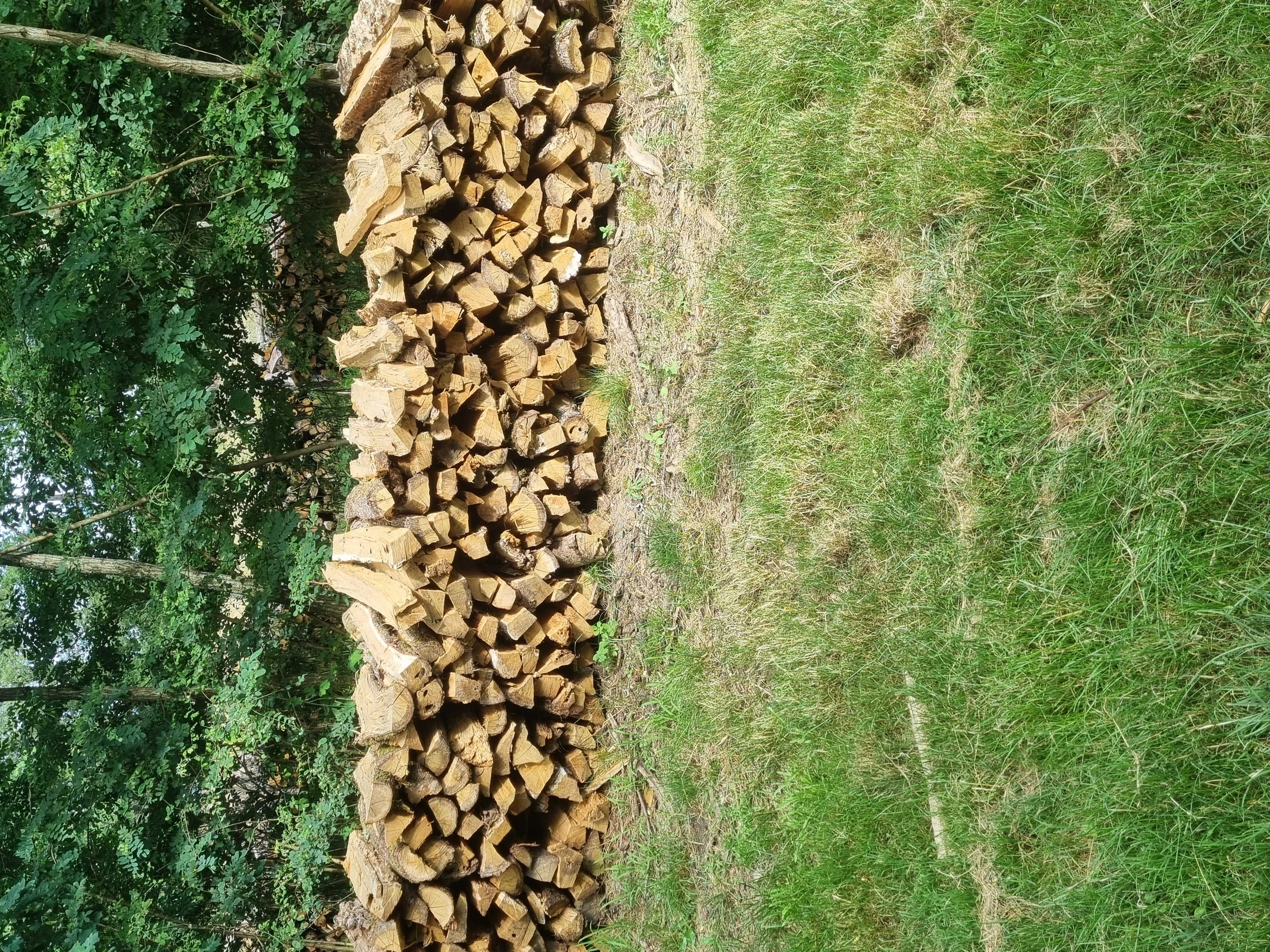 Bois de chauffage 220 Sainte-Maure-de-Peyriac (47)