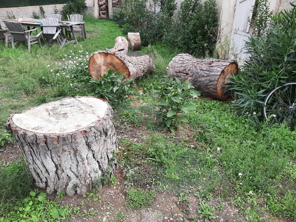 BOIS DE CHAUFFAGE 100 Marignane (13)