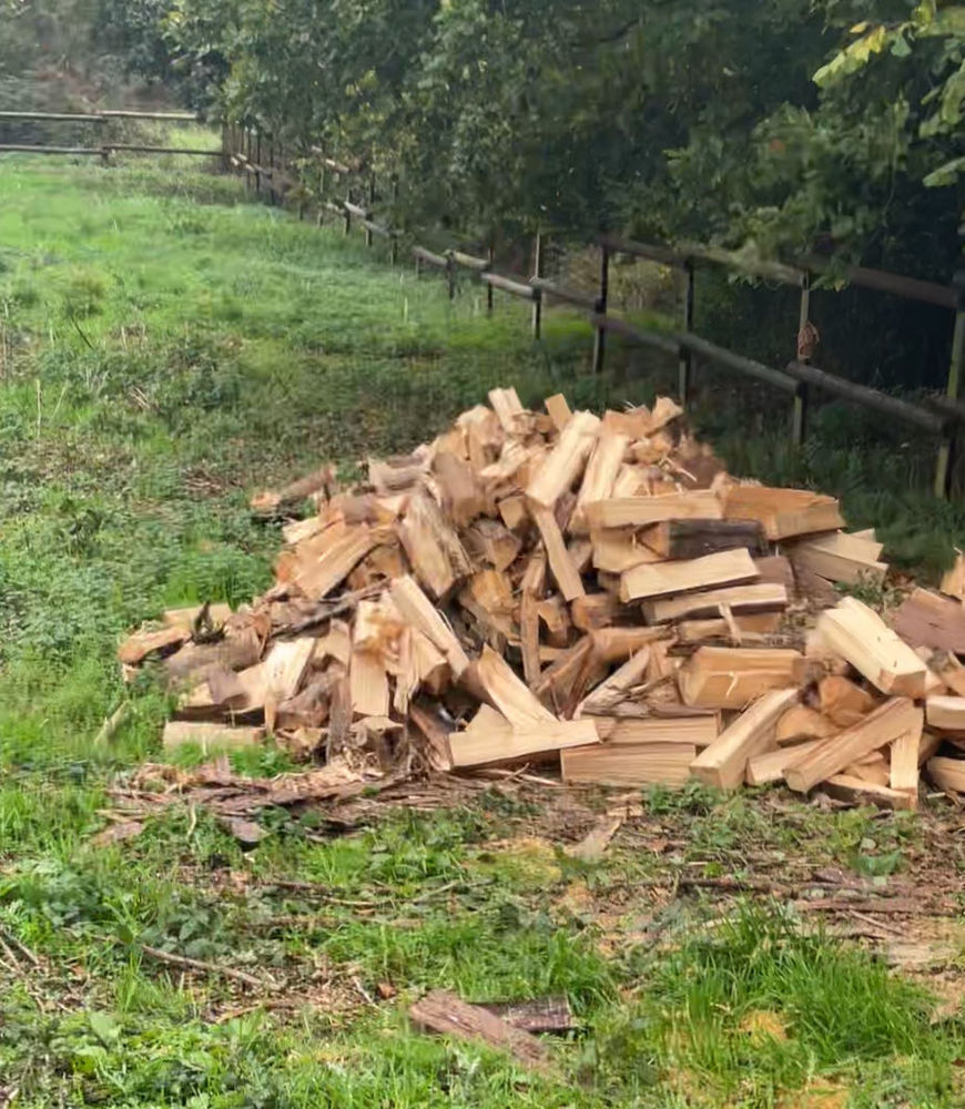 bois de chauffage 90 Moust�ru (22)