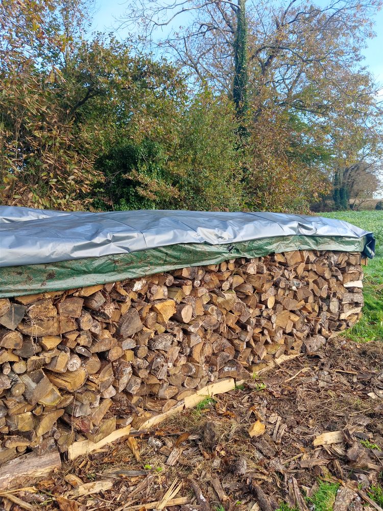 bois de chauffage sec 250 Pluguffan (29)