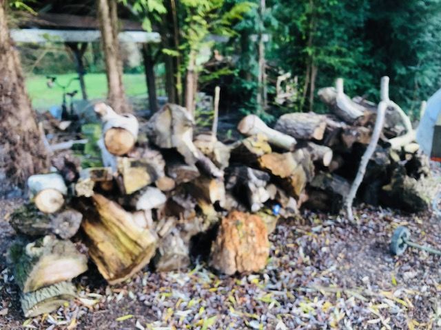 BOIS DE CHAUFFAGE 30 Gouvieux (60)