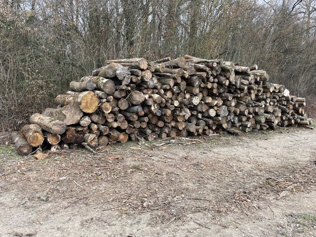 BOIS DE CHAUFFAGE 40 �pernay (51)