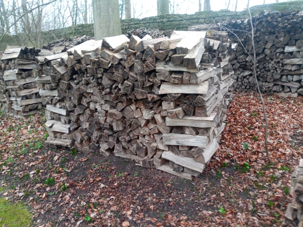 bois de chauffage sec 50/33 180 Audrieu (14)