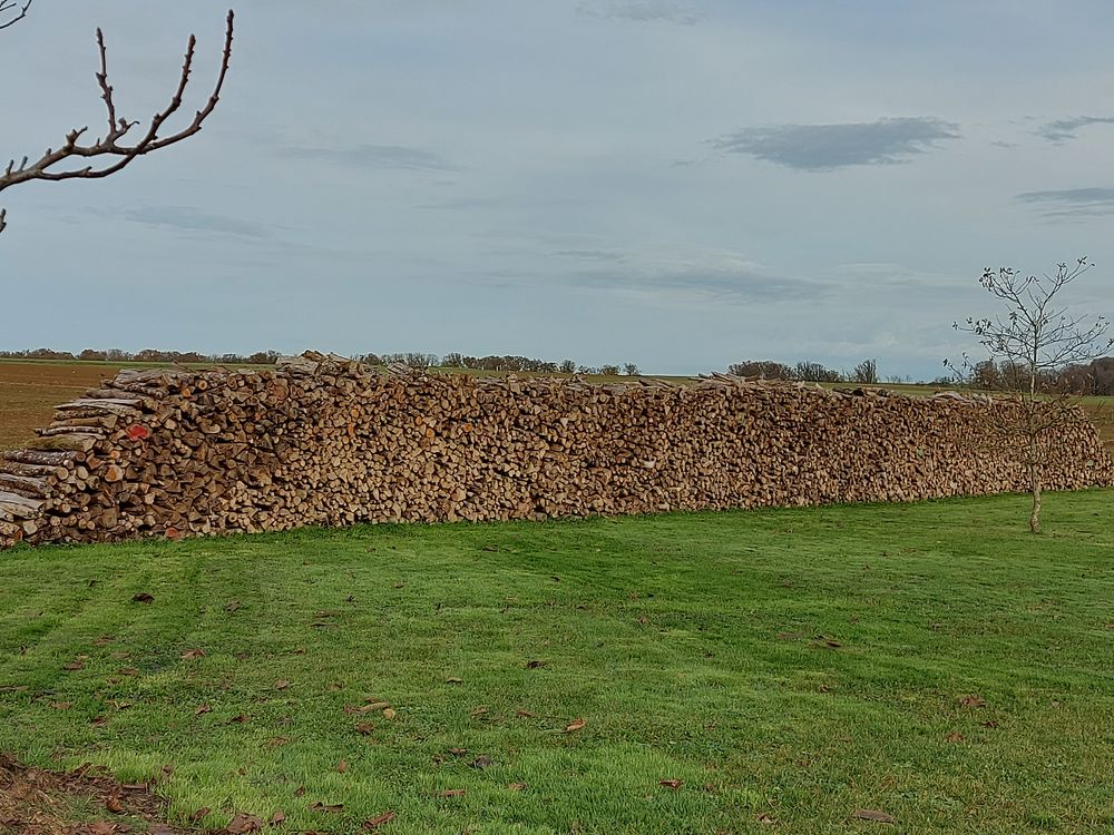 bois de chauffage 45 Genevri�res (52)