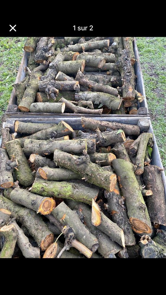 bois chauffage 50 Livron-sur-Dr�me (26)