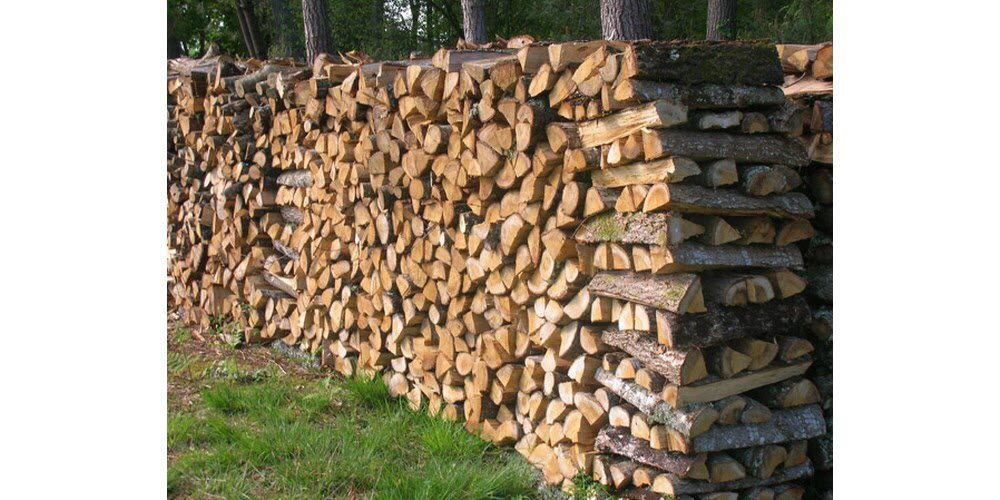 bois de chauffage 150 Ligny-en-Barrois (55)
