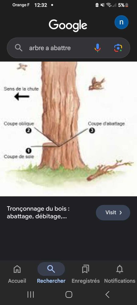 bois de chauffage 30 Fumel (47)