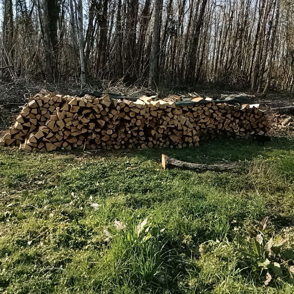 de bois de chauffage 70 �coyeux (17)