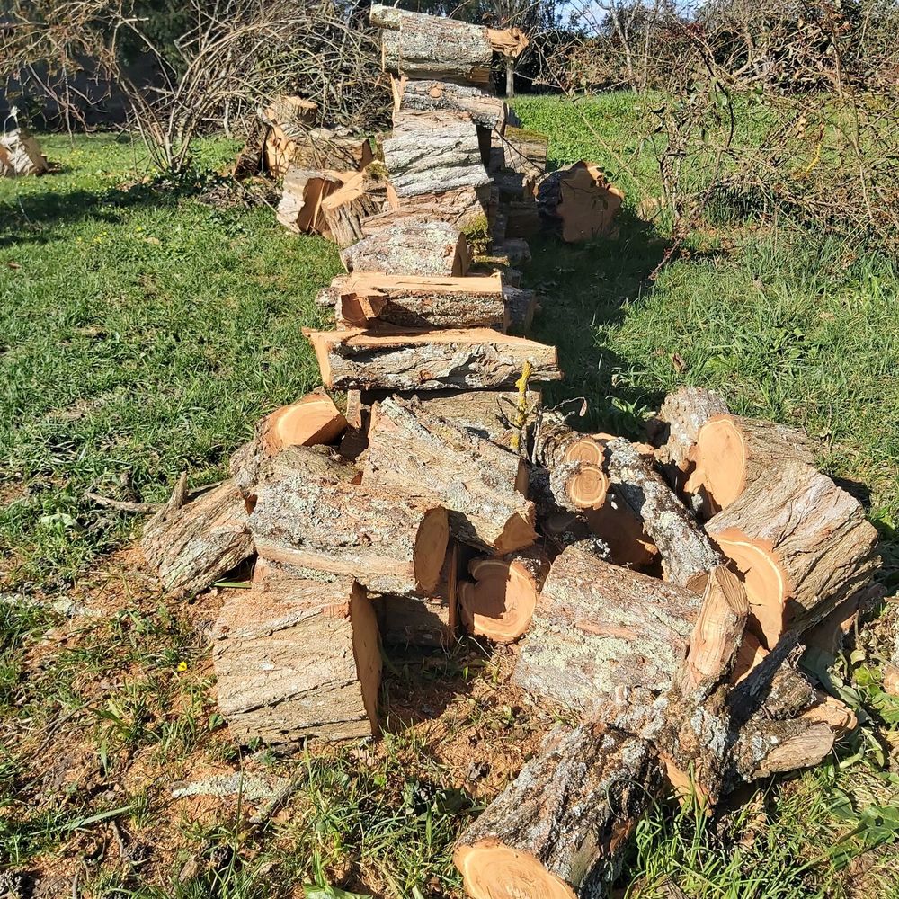 Bois de chauffage 70 Francescas (47)