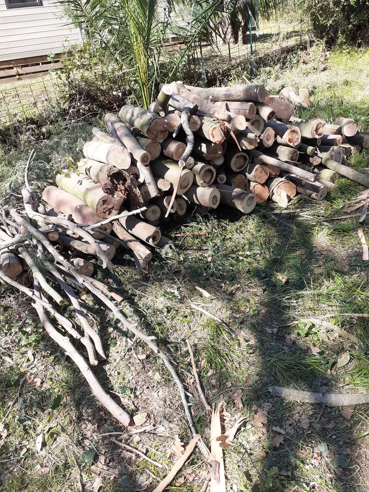 BOIS DE CHAUFFAGE 40 Cavalaire-sur-Mer (83)