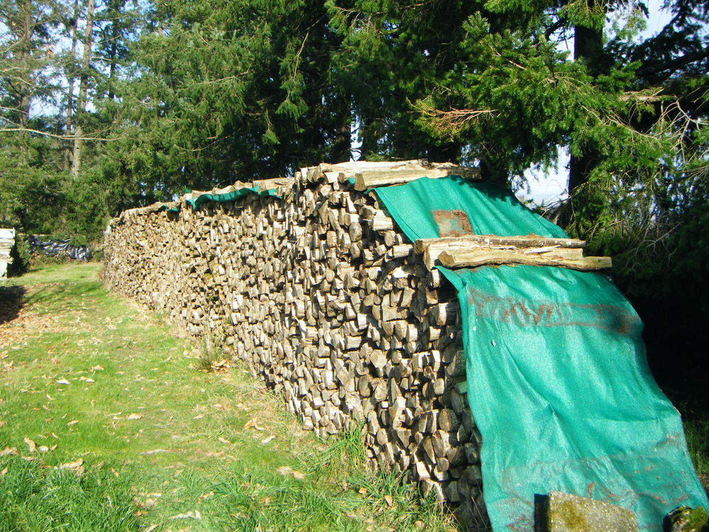 bois de chauffage 60 Roussines (16)