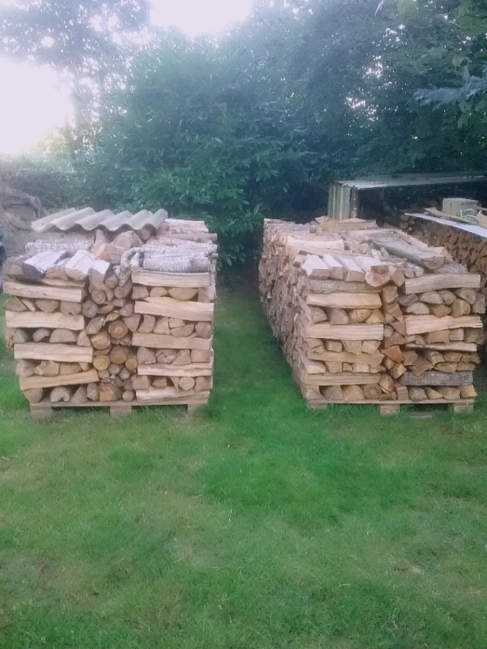 Bois de chauffage 1 Combrit (29)