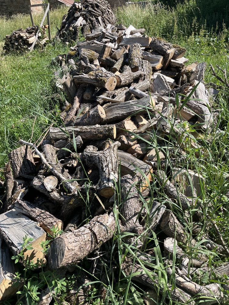 Bois de chauffage 70 Montrozier (12)