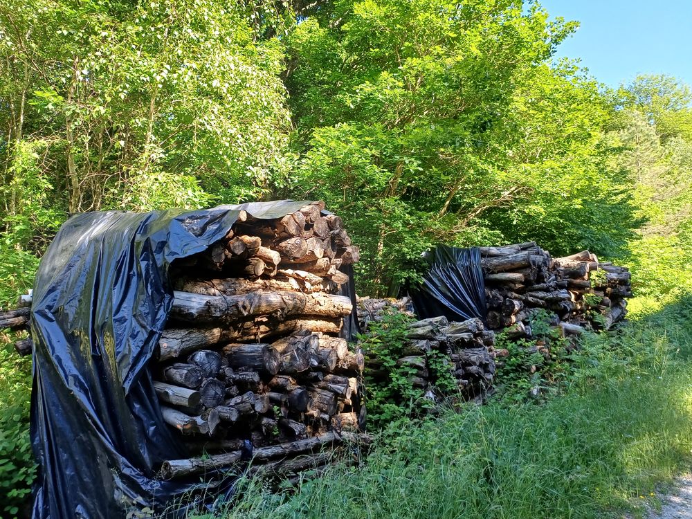 Bois de chauffage 33 Saint-Antoine-l'Abbaye (38)