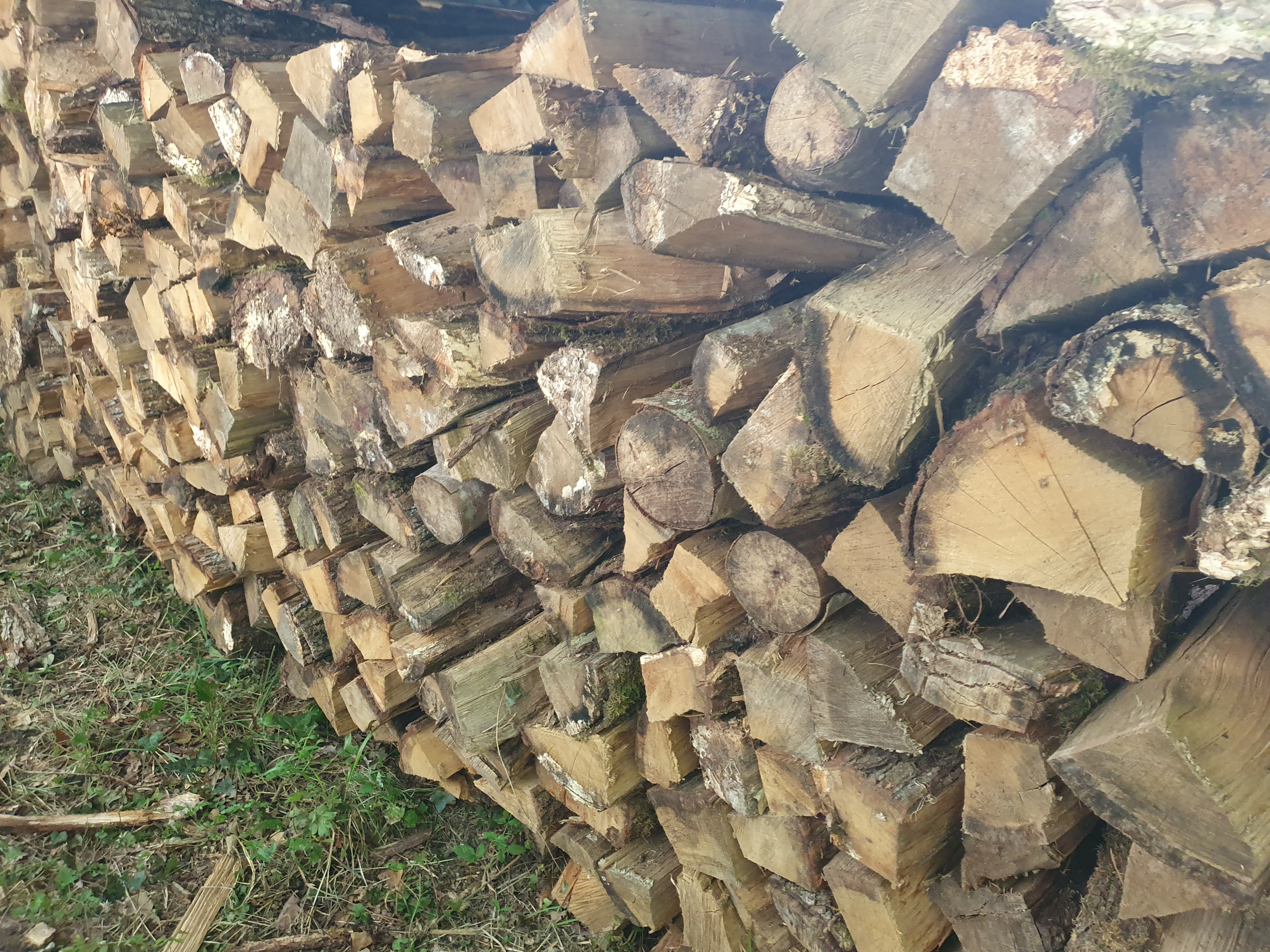 bois de chauffage 65 Roumagne (47)