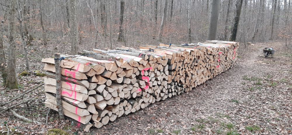 Bois de chauffage 90 Danne-et-Quatre-Vents (57)