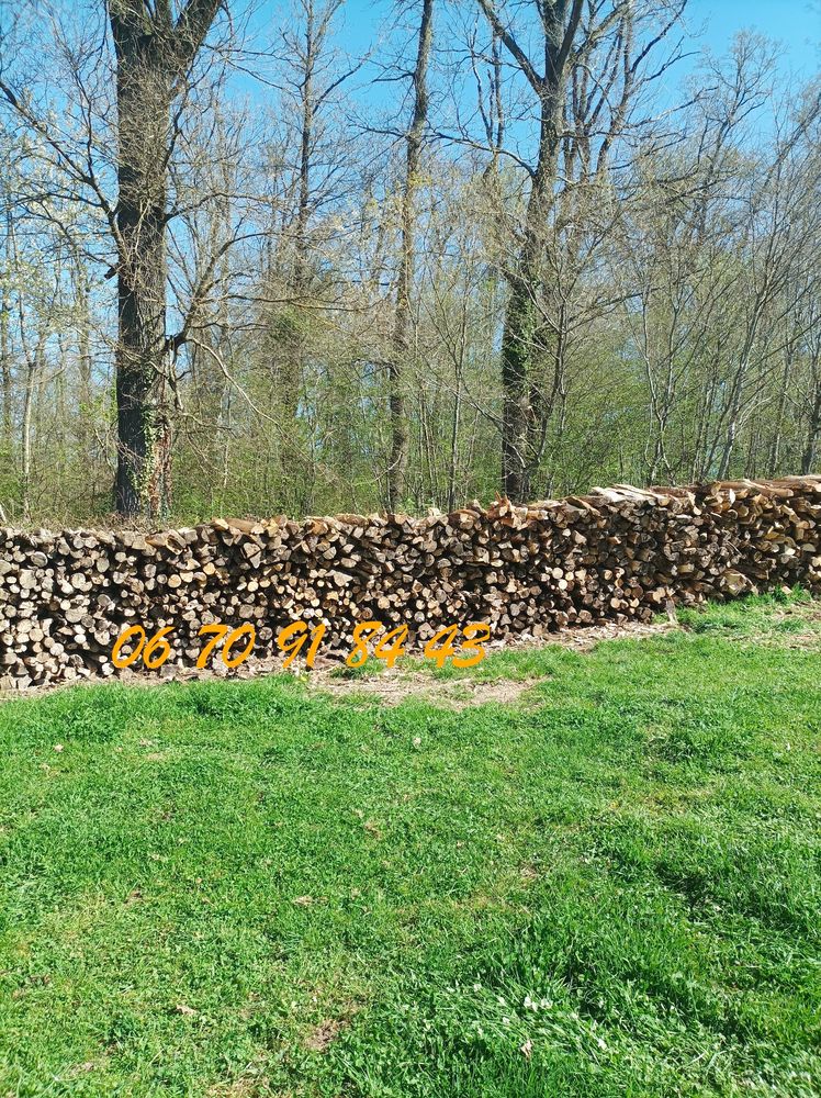BOIS DE CHAUFFAGE 60 Charolles (71)