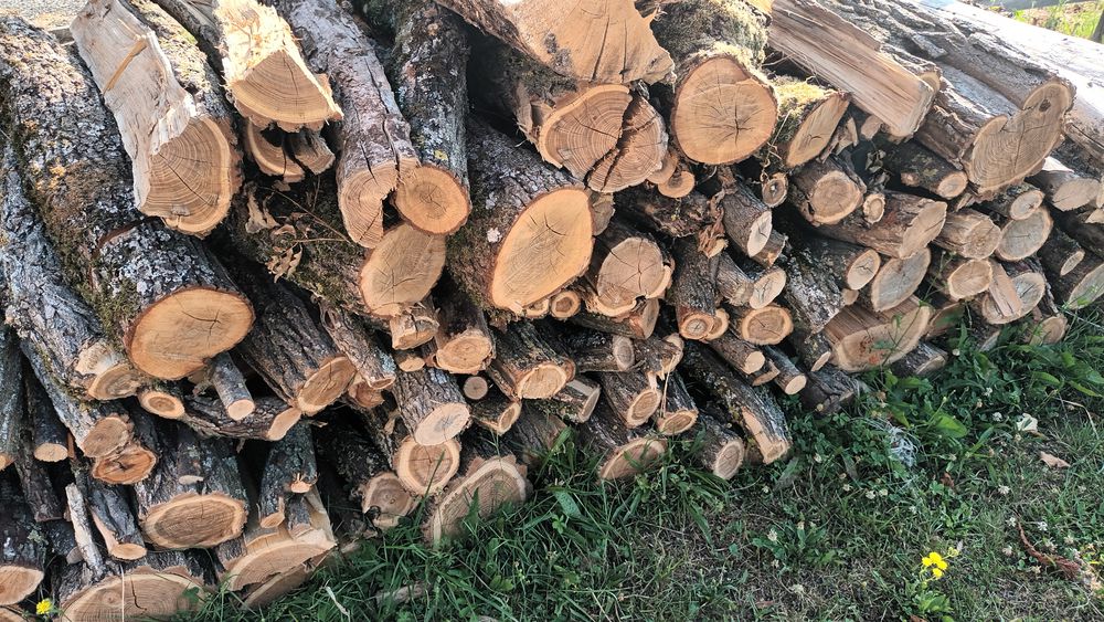 Bois de chauffage 60 Voussac (03)