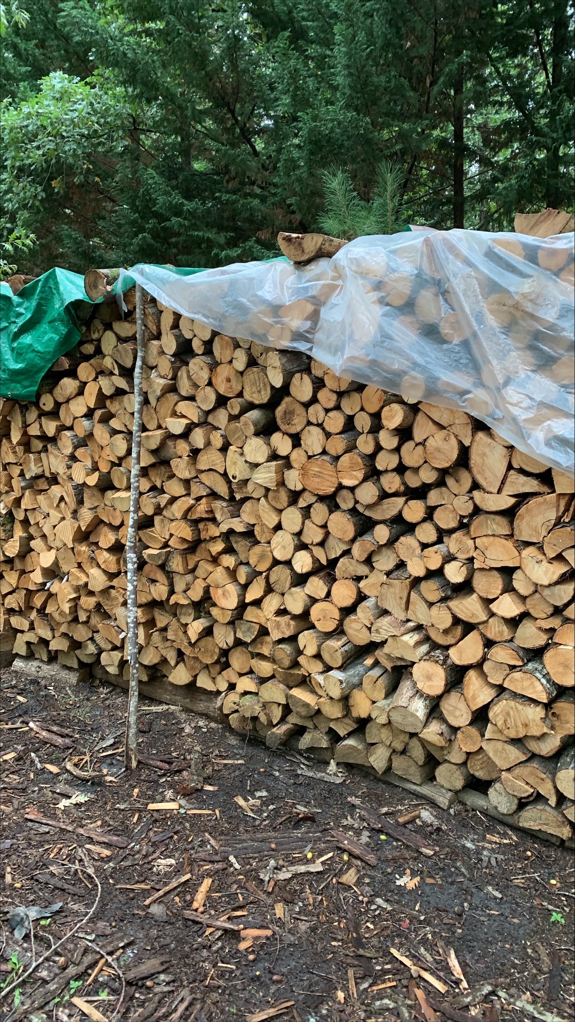 Bois de chauffage 72 Saint-Martin-d'Arc� (49)