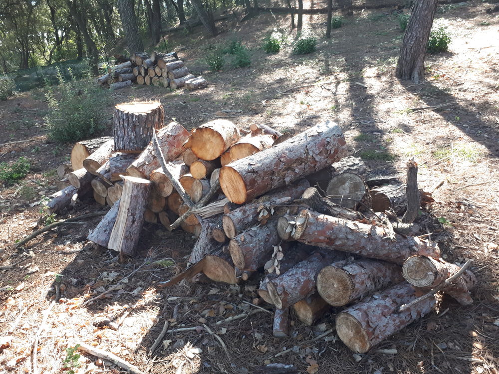 bois de chauffage 45 Aigues-Vives (30)