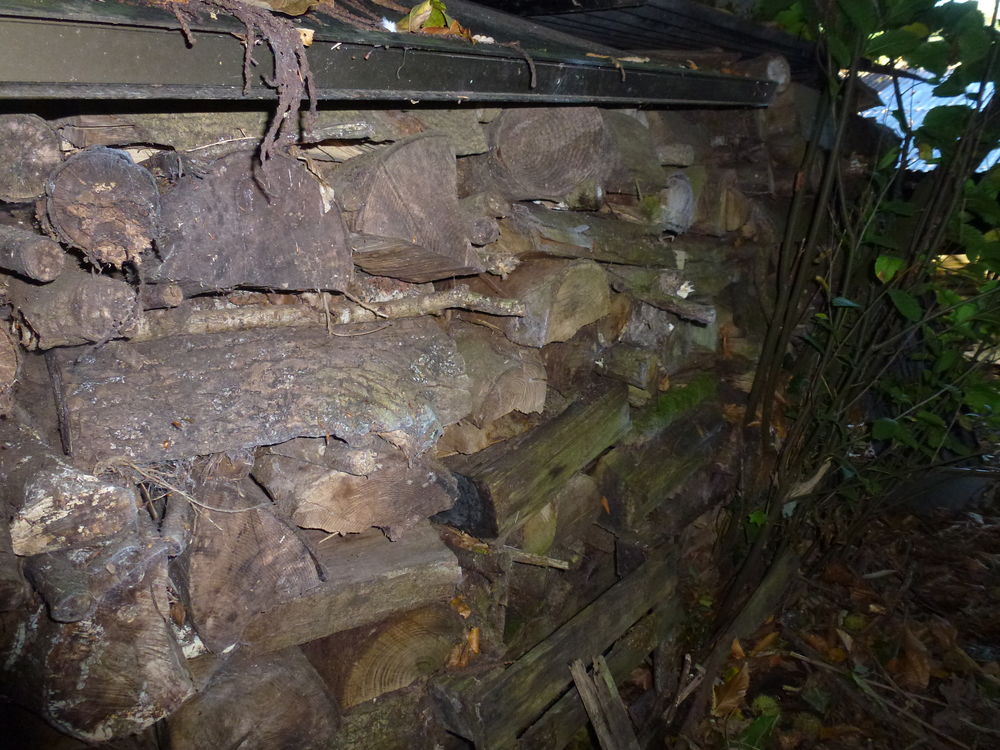 Bois de chauffage 85 Guipavas (29)