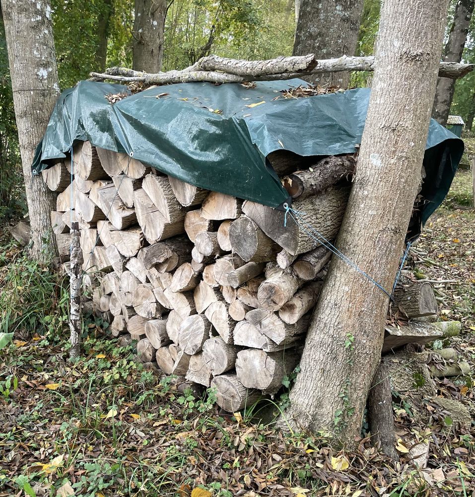 BOIS DE CHAUFFAGE 60 Chambourg-sur-Indre (37)