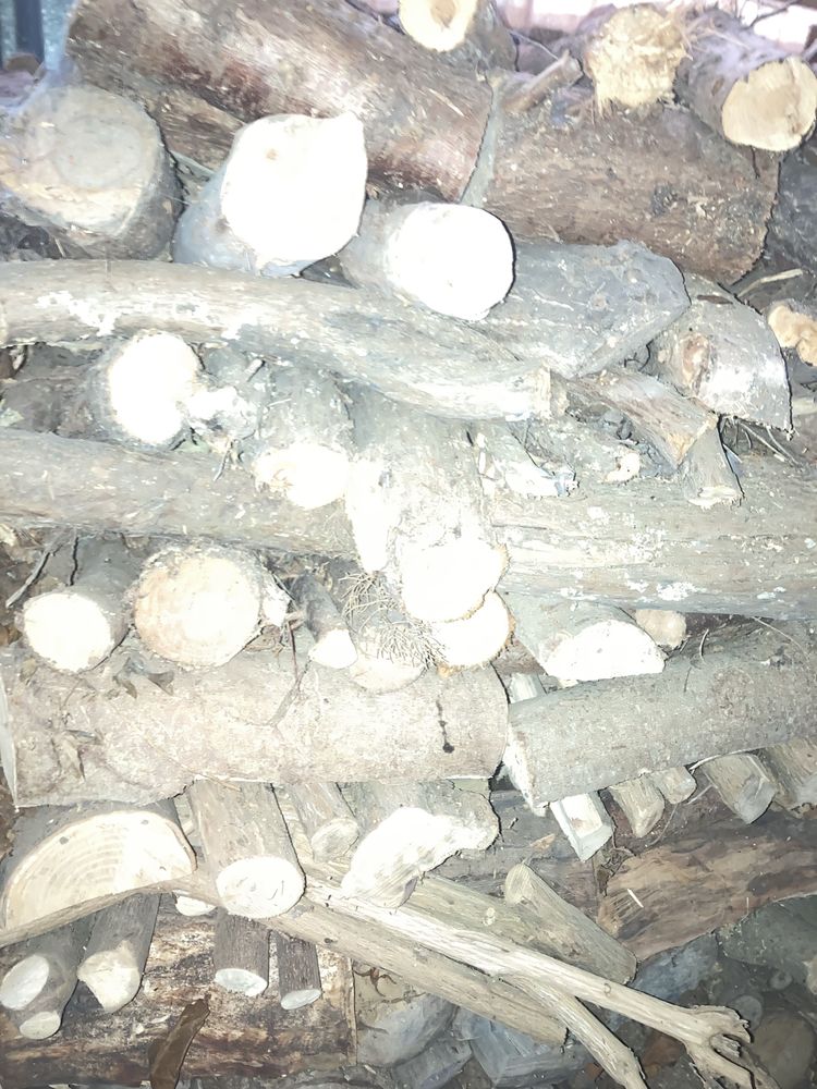 bois de chauffage 250 Pl�lo (22)