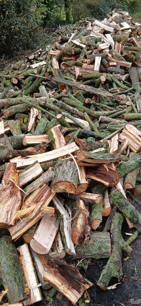 bois de chauffage 70 Hazebrouck (59)