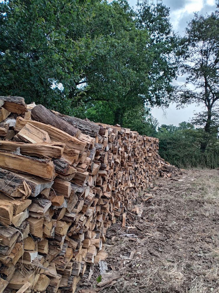 bois de chauffage 75 Thouars (79)